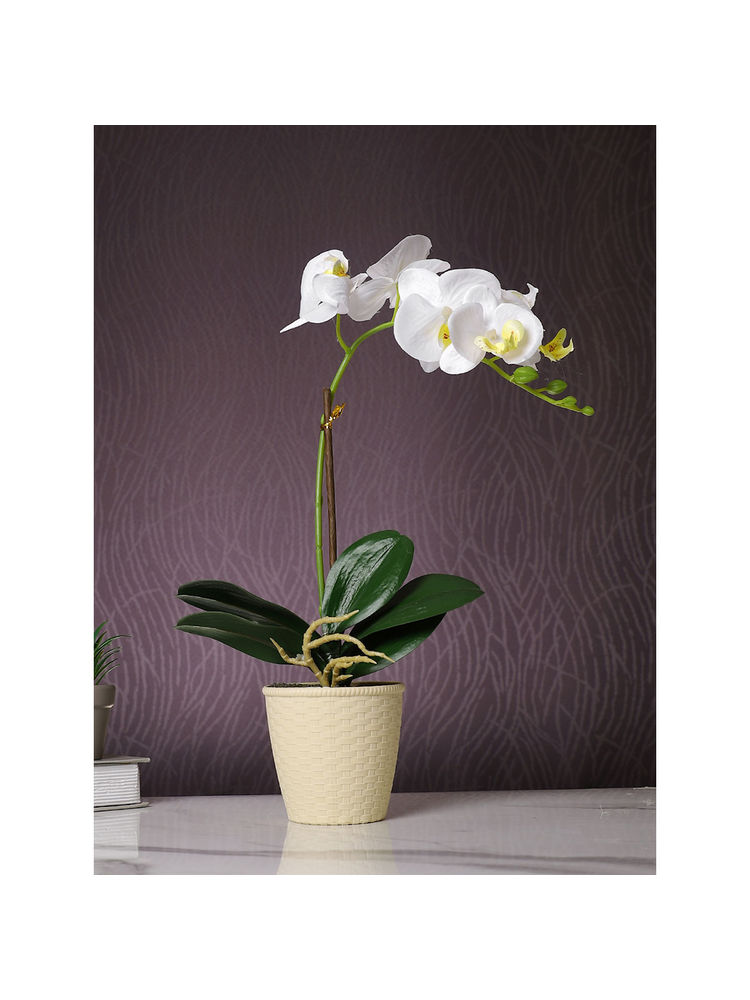 Tayhaa White Orchid Artificial Plant with Pot-image-37
