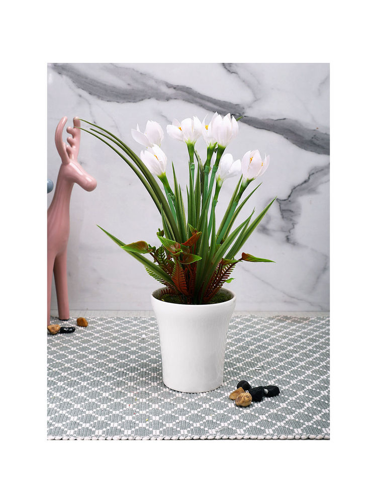 Tayhaa White Tulip Artificial Plant with Pot-image-36