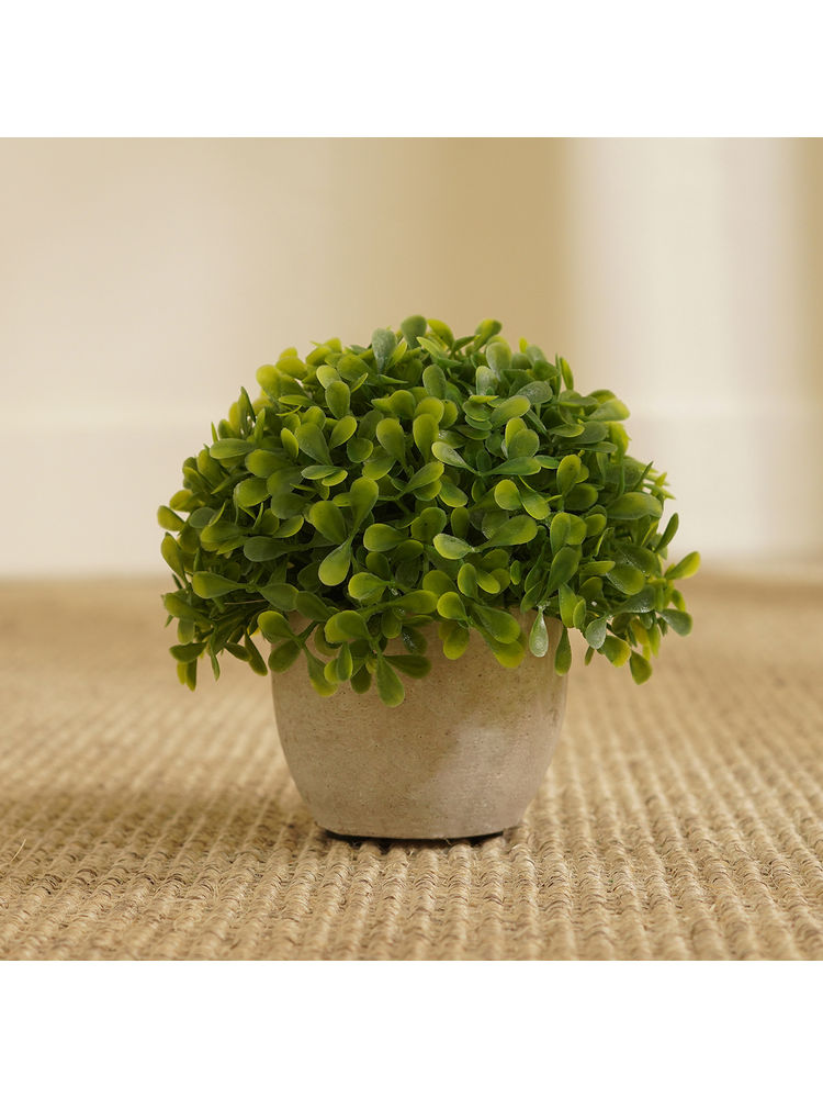 Pure Home + Living Green Artificial Planter Pot-image-33