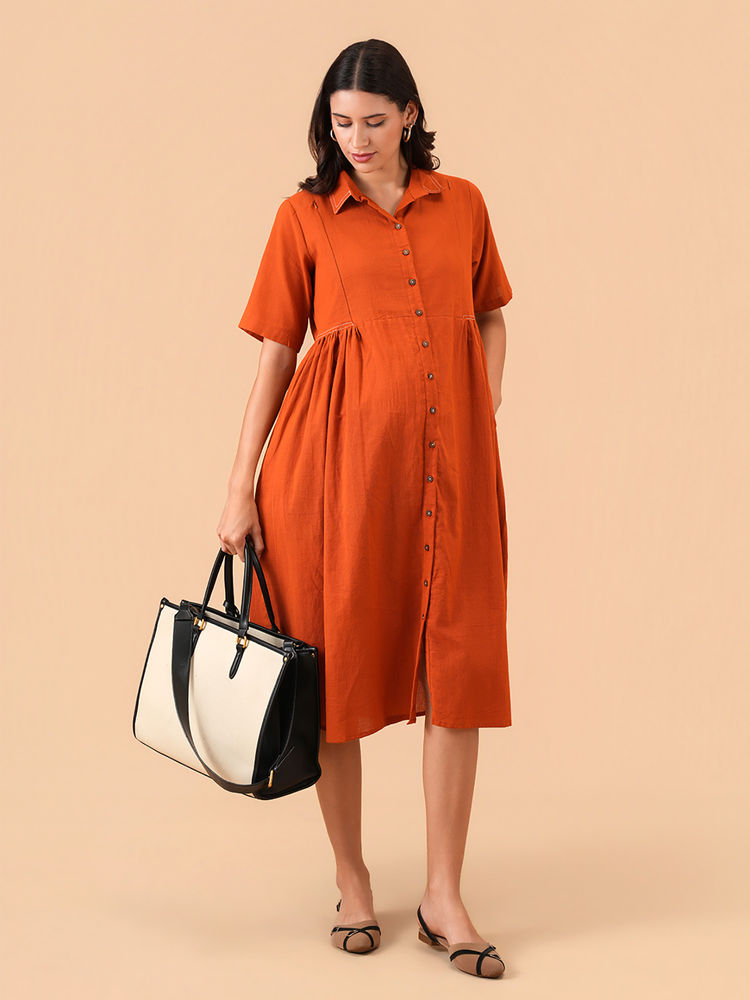 The Mom Store The Rust-In-Time Maternity and Nursing Dress-picture-18