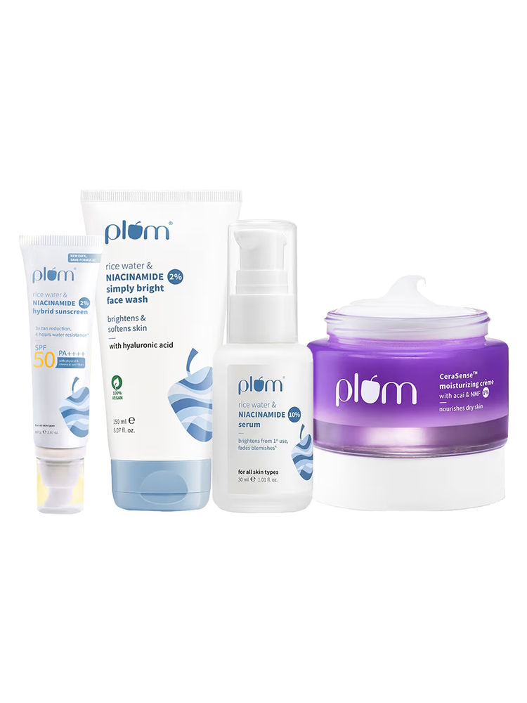 Plum Barrier Repair CSMS Routine-picture-1