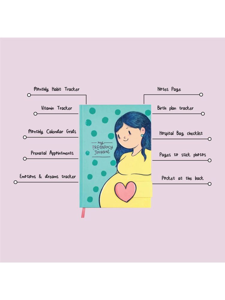 Alicia Souza Pregnancy Journal Bump Box