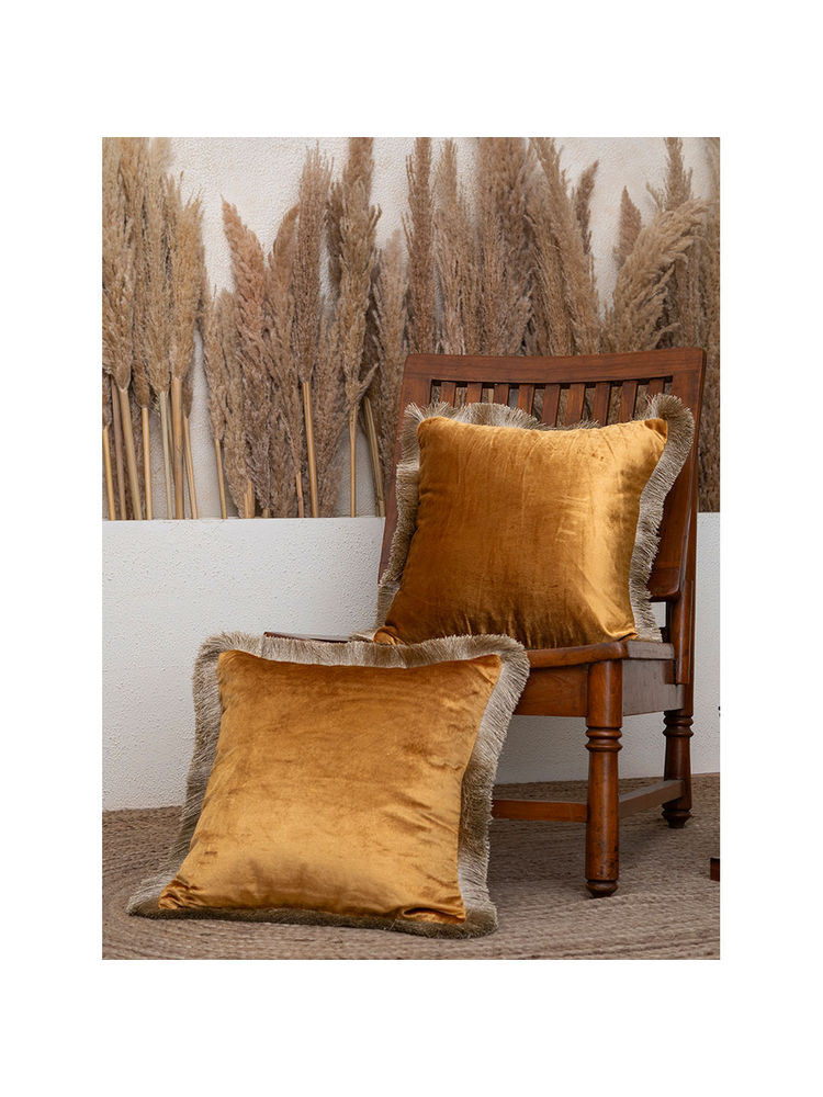 BELIHODE Honey Gold Fringed Velvet Cushion Cover (Pack of 2) (16x16 inches)-image-7