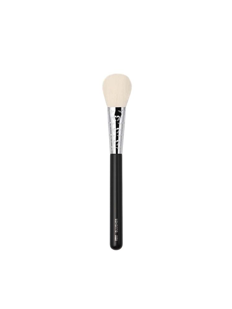 Daily Life Forever52 Academic Blusher Brush-image-49