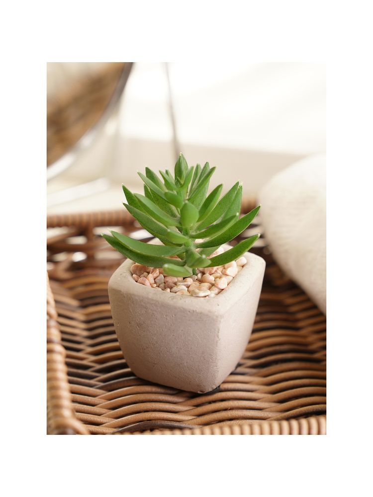 Pure Home + Living Green Artificial Succulents with Pot-image-7