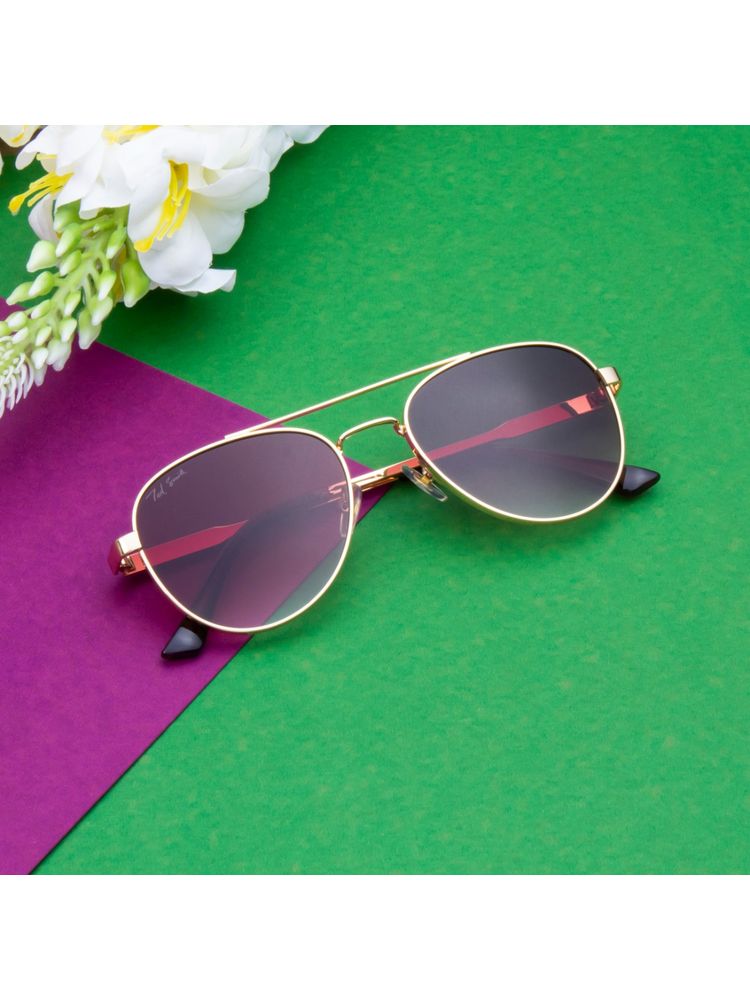 TED SMITH Aviator Brown Sunglasses for Men Women (55)