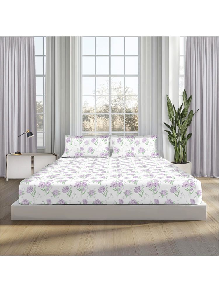 SLEEPSIA Lounge Comfy Lavender Primerose Queen Double Bedsheets & 2 Pillow Covers-image-9
