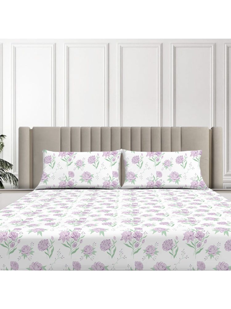 SLEEPSIA Lounge Comfy Lavender Primrose King Double Bedsheets & 2 Pillow Covers-image-30