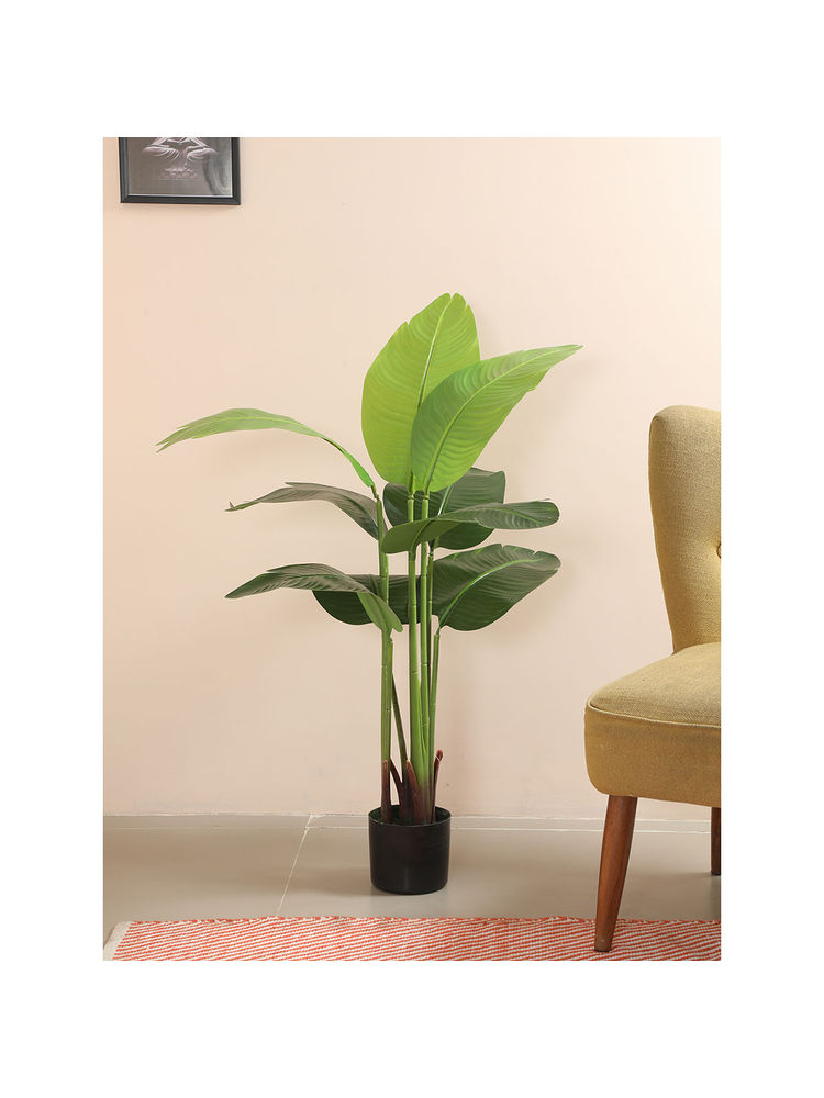 Home Bloom Decoration Artificial Banana Plants for Indoor & Outdoor with Pot-picture-16
