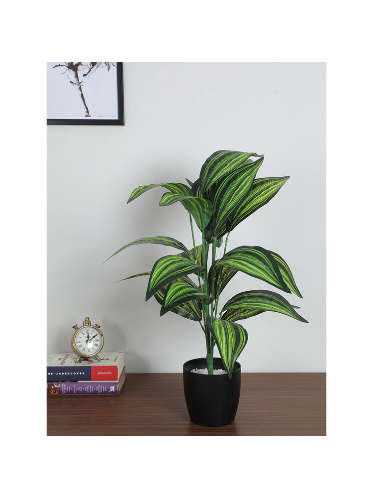 Home Bloom Artificial Cast-Iron Plant Big Ornamental Plant for Interior Decor-Home-image-39
