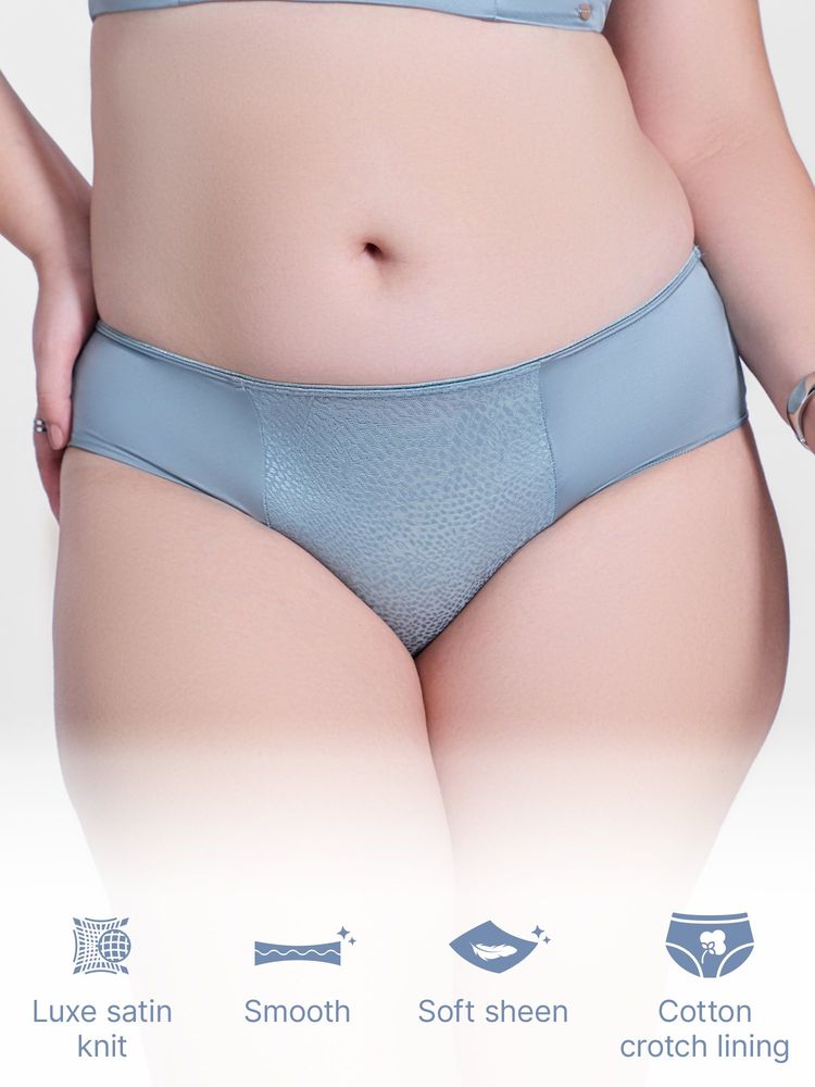 Enamor Grey Luxe Satin Hipster Panty-image-36