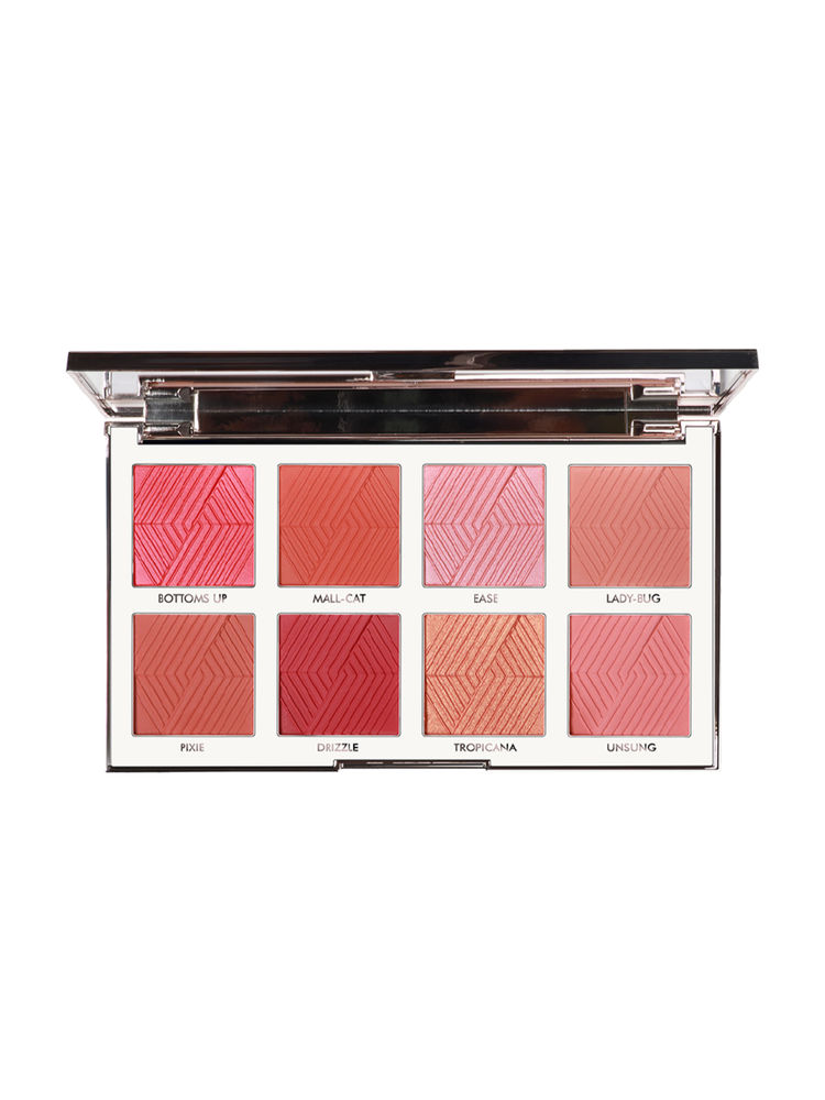 Daily Life Forever52 Backstage Essentials Blush Palette BKS001-image-39