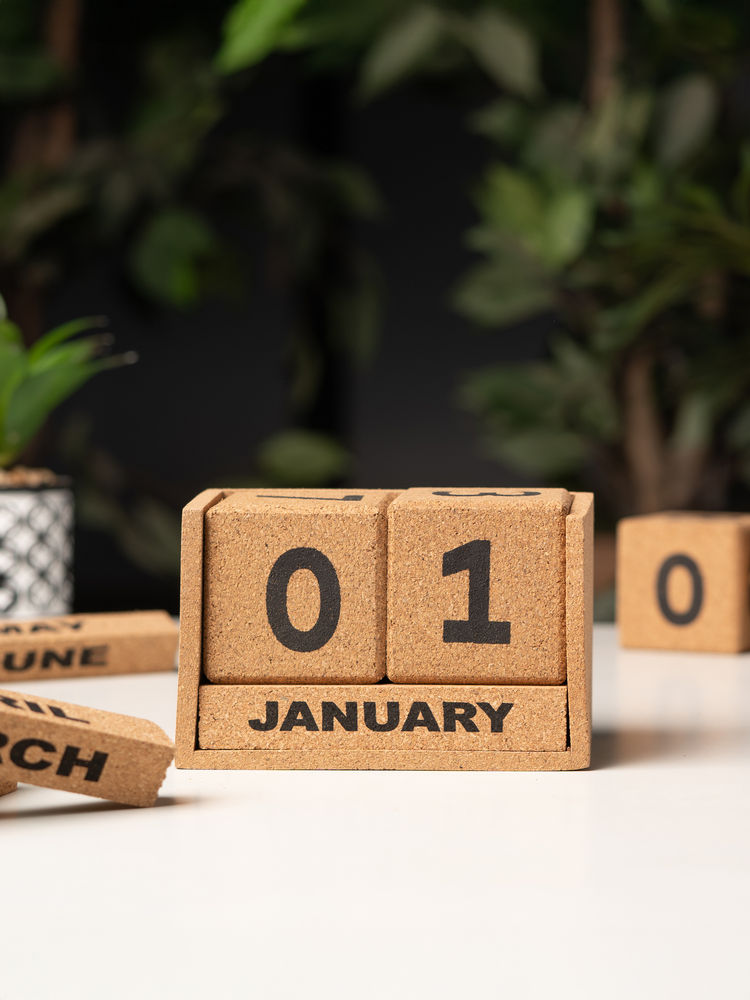 THE ZAPPY BOX Earth Block Cork Calendar-picture-11