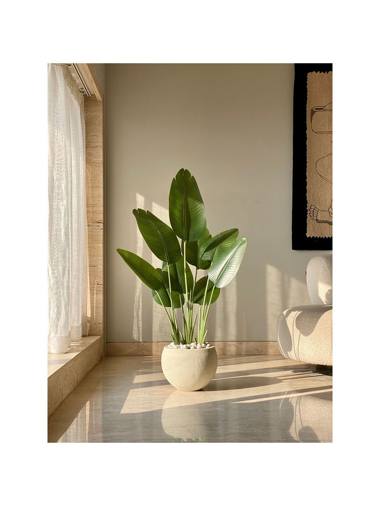Mason Home Artificial Cavendish Traveller Plant-picture-38