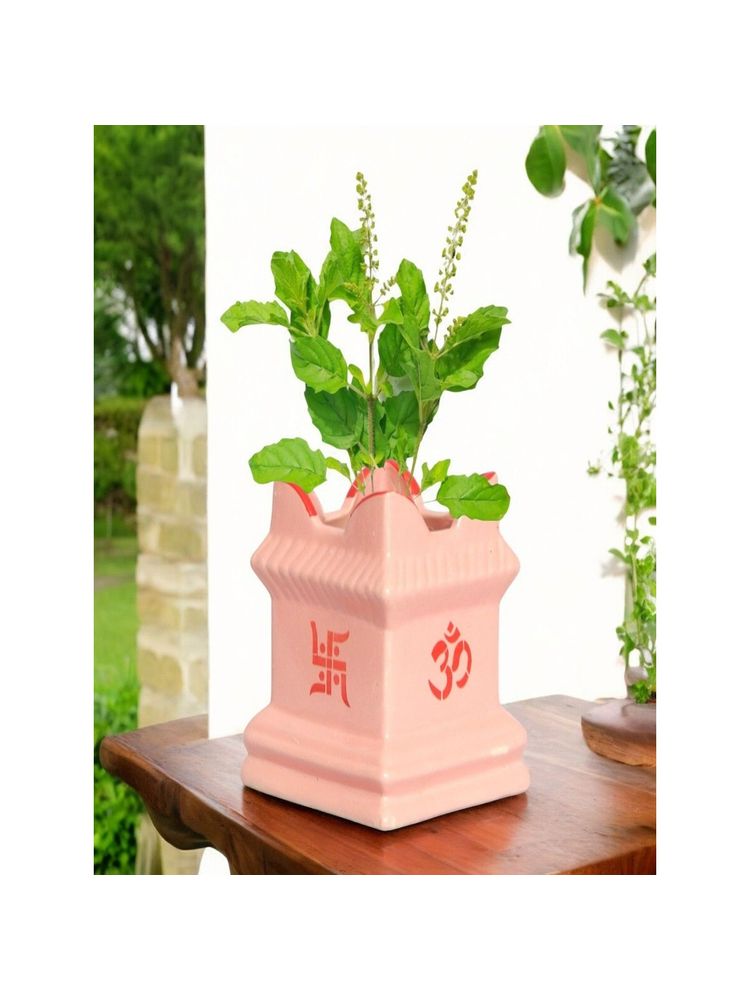 Ecofynd 6 Inches Pink Tulsi Ceramic Plant Pots-picture-16