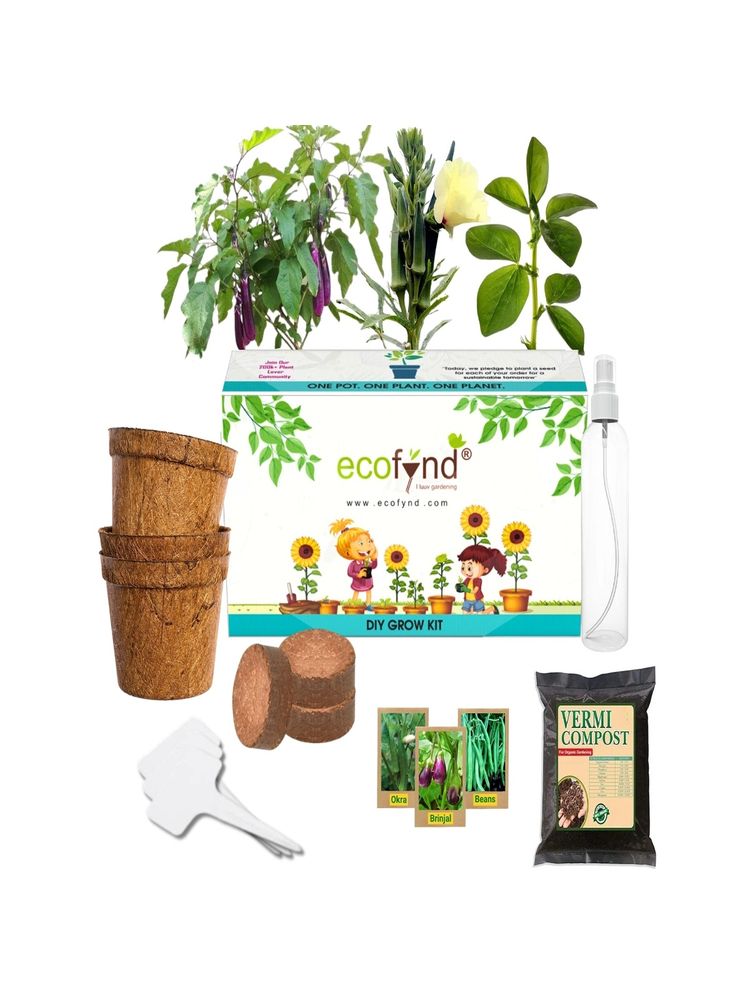 Ecofynd 3 In 1 Diy Vegetable Grow Kit: Brinjal, Okra & French Beans-picture-24