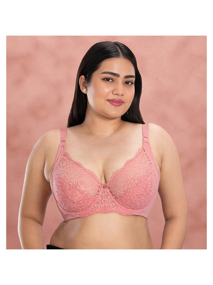 Shyaway Brandied Apricot Seamed Lightly Padded Wired Lace Bra-picture-23