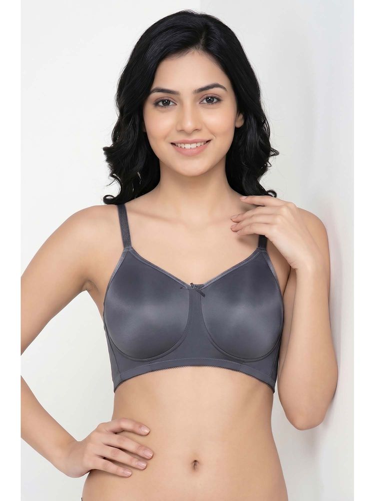 Zivame Padded Non Wired 3/4Th Coverage T-Shirt Bra - Folkstone Grey-picture-32