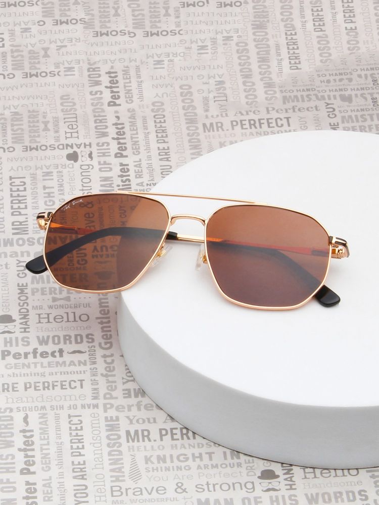 TED SMITH Unisex Brown Lens & Gold-Toned Aviator Sunglasses-SUN-FLORIAN_C1-picture-31