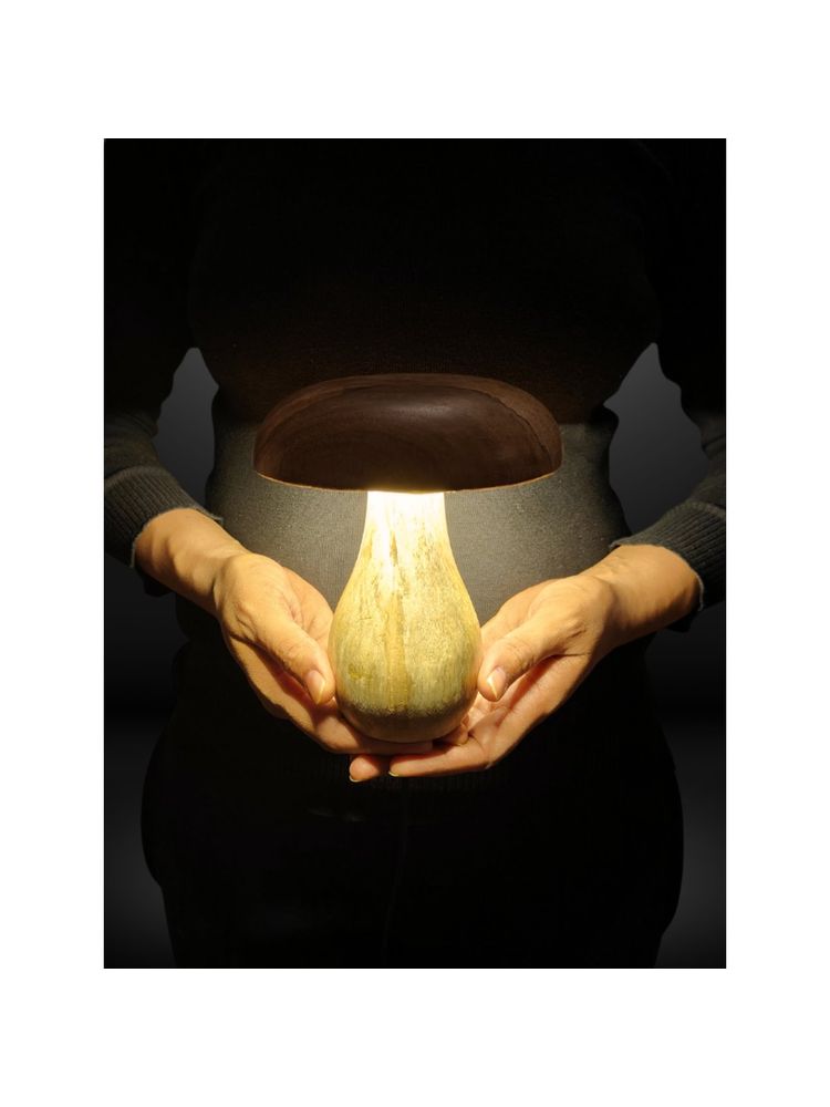 Akira Furnishings Mushroom Led Lamp-image-15