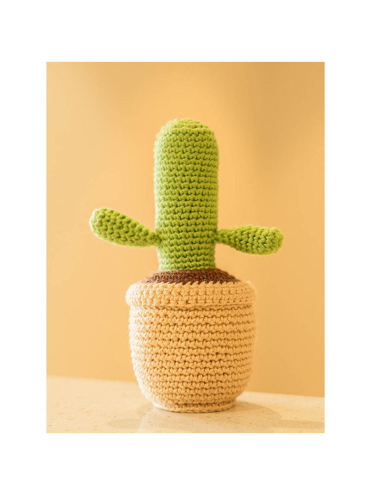 THE ZAPPY BOX Crochet Cactus Pot-picture-12