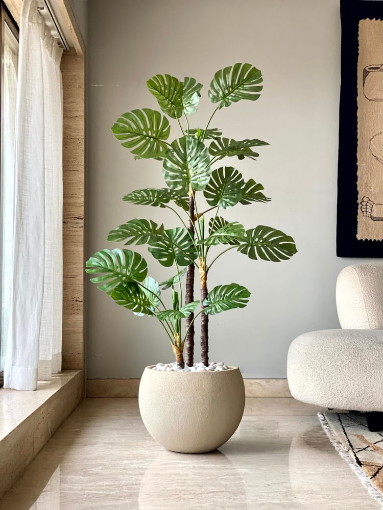 Mason Home Artificial Dual Monstera Plant - 5 Feet-picture-27