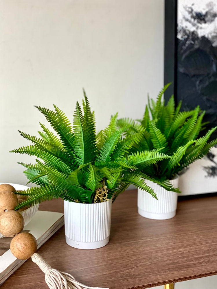 Mason Home Artificial Lush Fern Plant With Pot-image-30