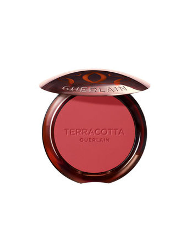 Guerlain Terracotta Blush-picture-18