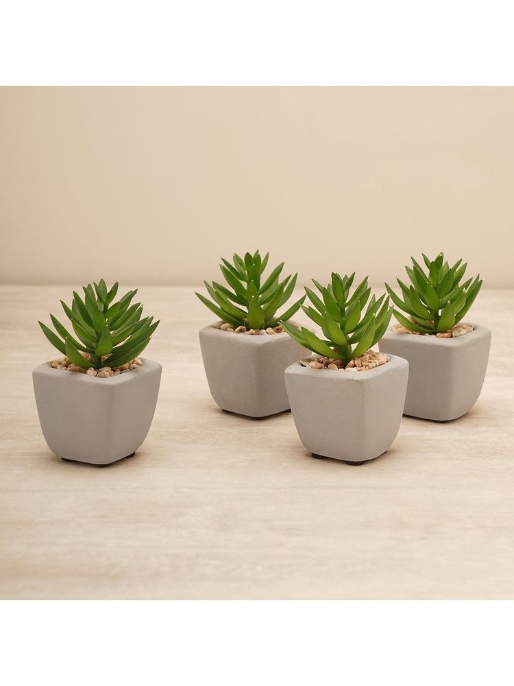 Pure Home + Living Set of 4 Green Faux Succulent with Cement Pot