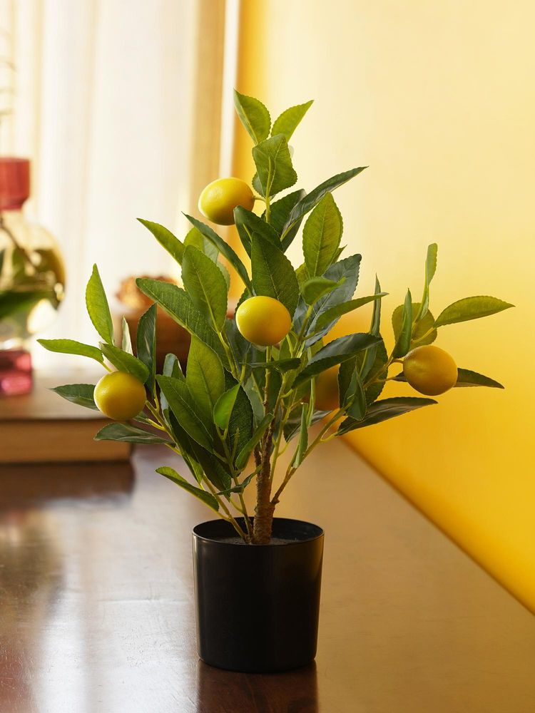 Pure Home + Living Yellow Artificial Lemon Potted Tree - (M)-image-34