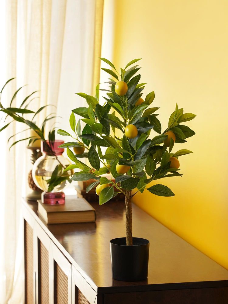 Pure Home + Living Yellow Artificial Lemon Potted Tree - Large-image-35