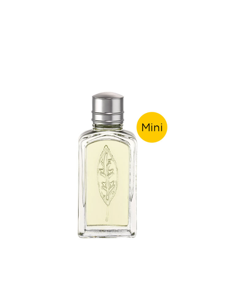L'Occitane Verbena Eau De Toilette For Her-picture-16