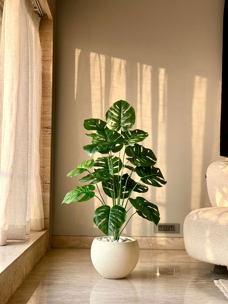 Mason Home Artificial Midas Monstera Plant - 3 Feet-picture-23