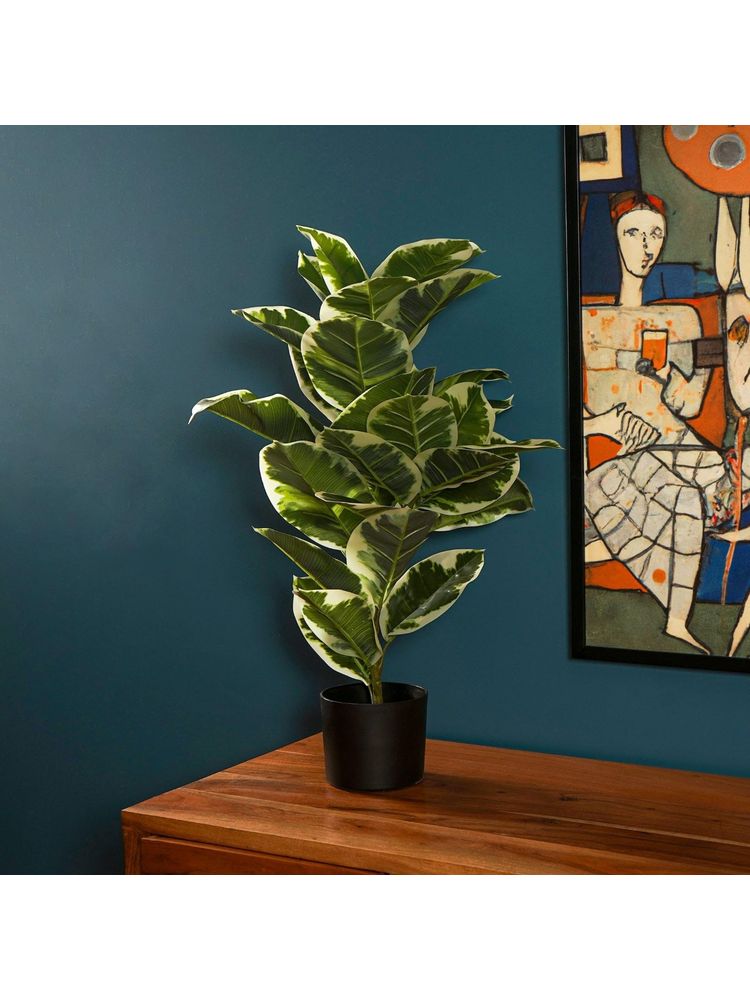 The Artment Verdora Rubber Artificial Table Plant with Pot (H-78 Cm)-picture-39