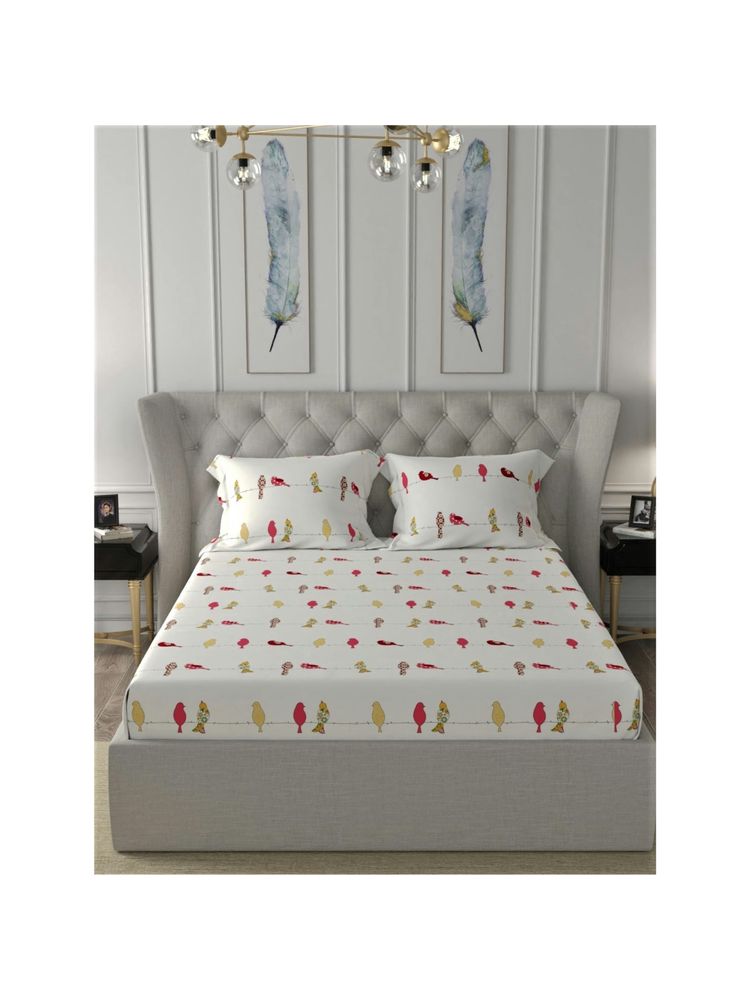 Urban Space Cotton King Fitted Bedsheet with 2 Pillow Covers Off White-picture-27