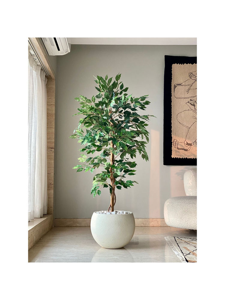 Mason Home Artificial Weeping Ficus Tree - 5 Feet-picture-18