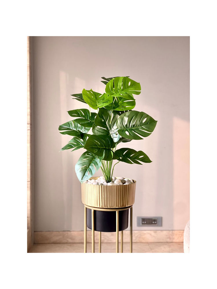 Mason Home Artificial Botanic Monstera Plant- 2 Feet-picture-12