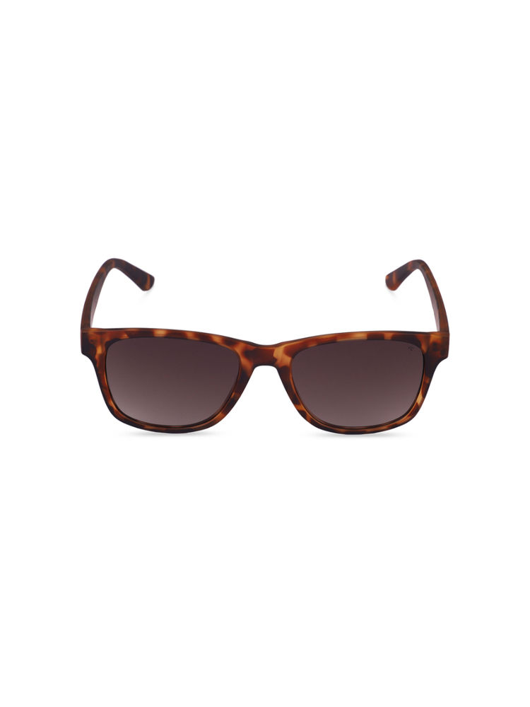 French Connection Green Lens Wayfarer Sunglass Full Rim Brown Frame With Gradient (FC 7582 C1)-picture-48