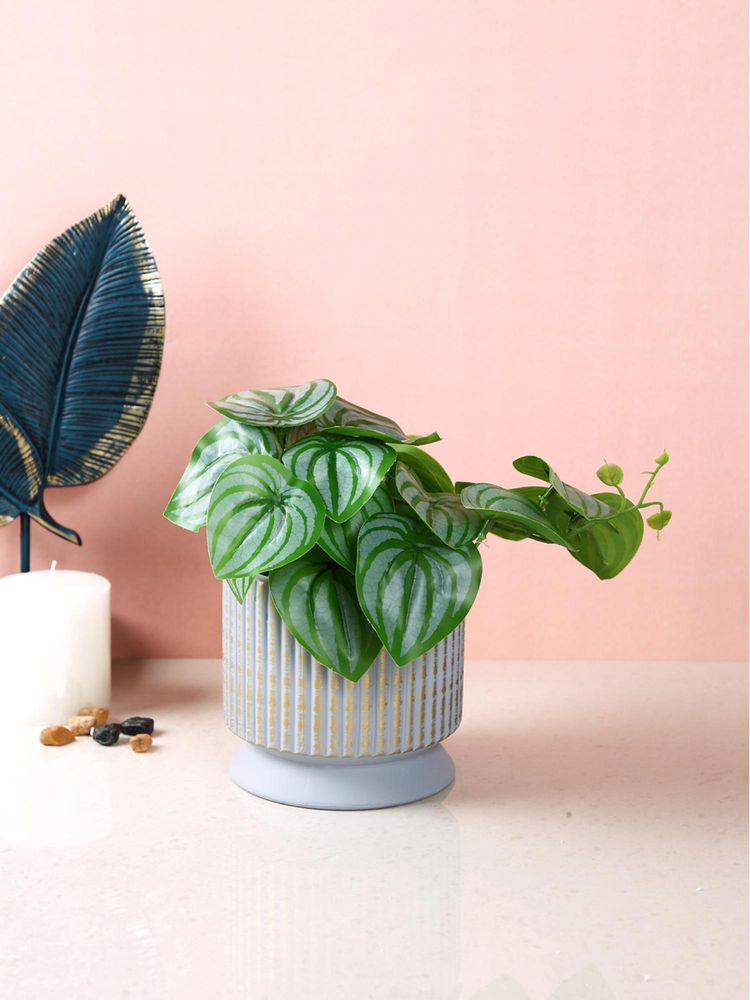 Tayhaa Lavender Haze Ribbed Planter-image-24