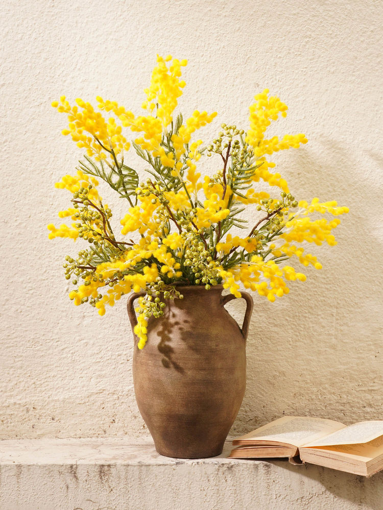 Pure Home + Living Brown Terracotta Earthen Vase-image-13