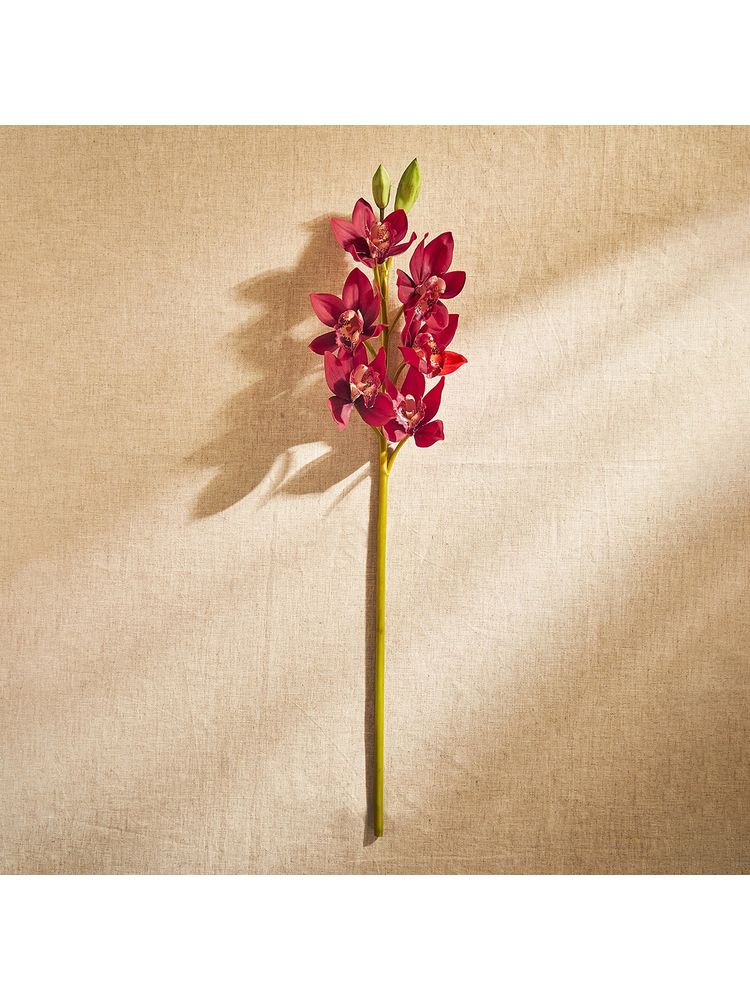 Pure Home + Living Red Boat Orchid Faux Flower Stem - Single-image-11