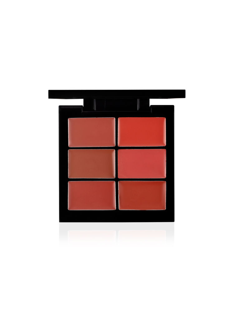 PAC Lip Palette Nude - One Swipe Intense Color Payoff, Insanely Pigmented, Comfortable Long Wear-picture-12