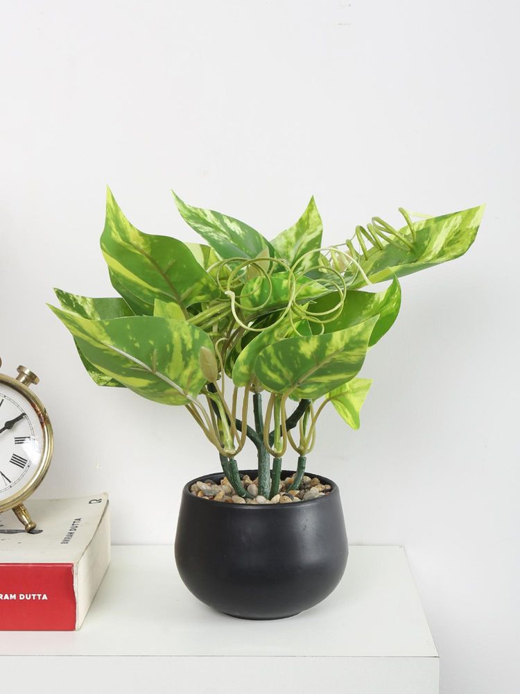 ARICK DECOR Artificial Money Bonsai Plant with Pot-image-27