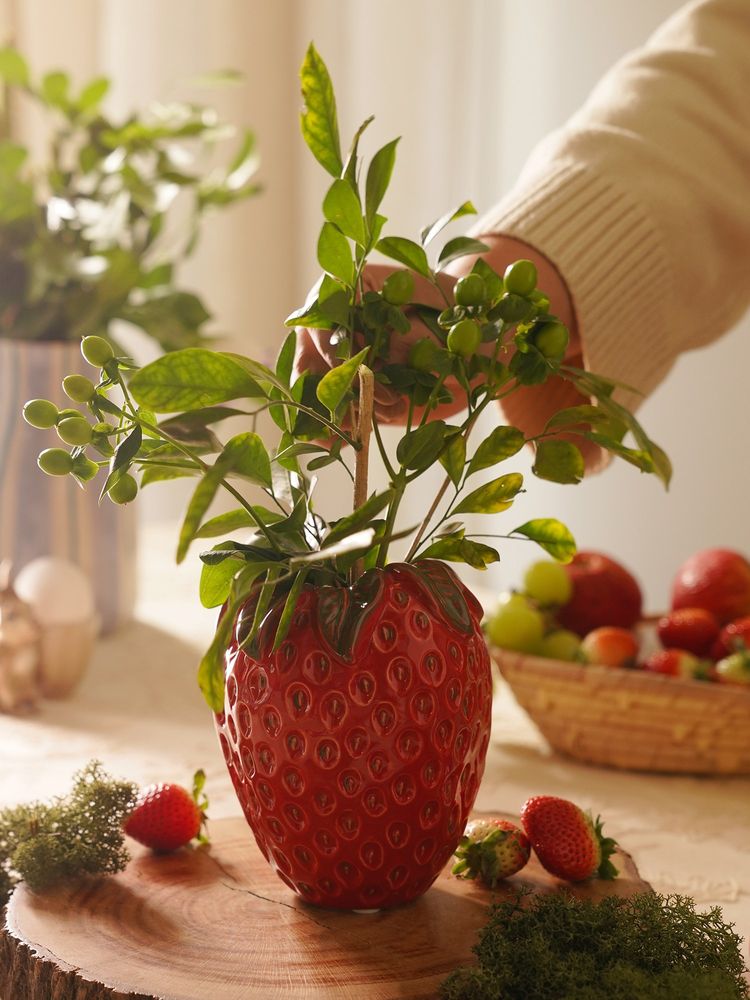 Pure Home + Living Strawberry Ceramic Vase (S)-image-1