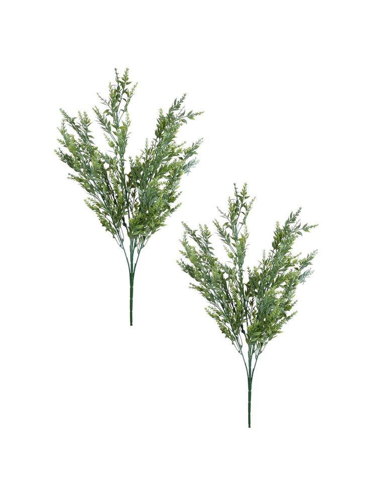 Tayhaa Green 2 Pieces Fern Artificial Plants-image-49