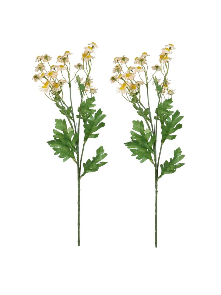 Tayhaa Yellow & Green 2 Pieces Wildflower Artificial Flowers-image-8