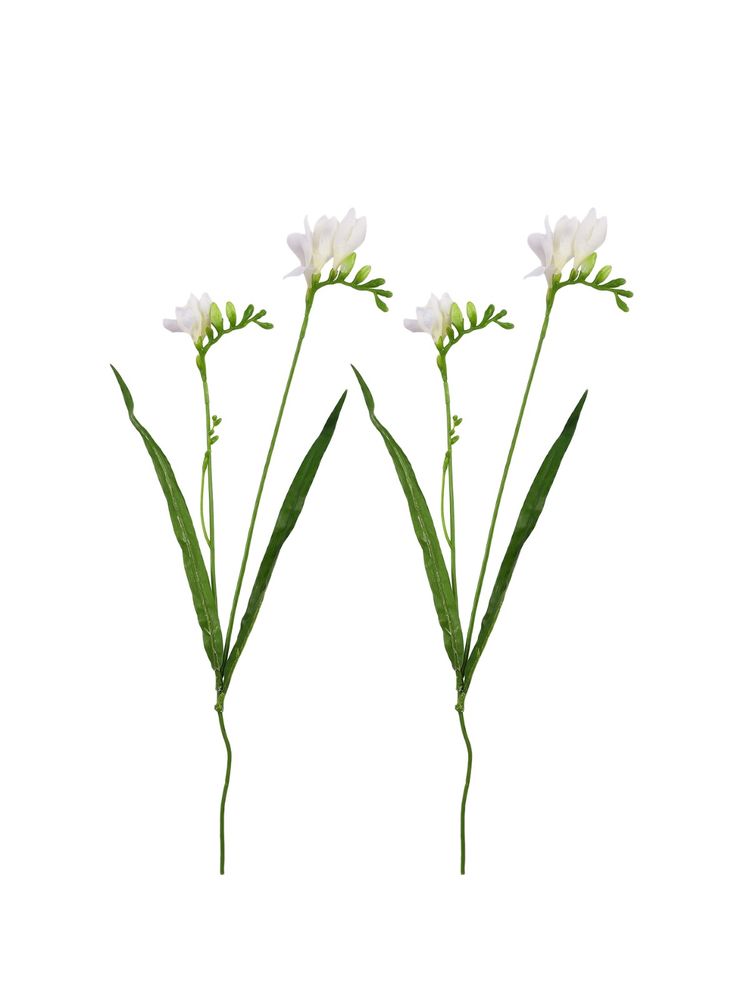 Tayhaa White & Green 2 Pieces Crisp Freesia Blooms Artificial Flower-picture-16