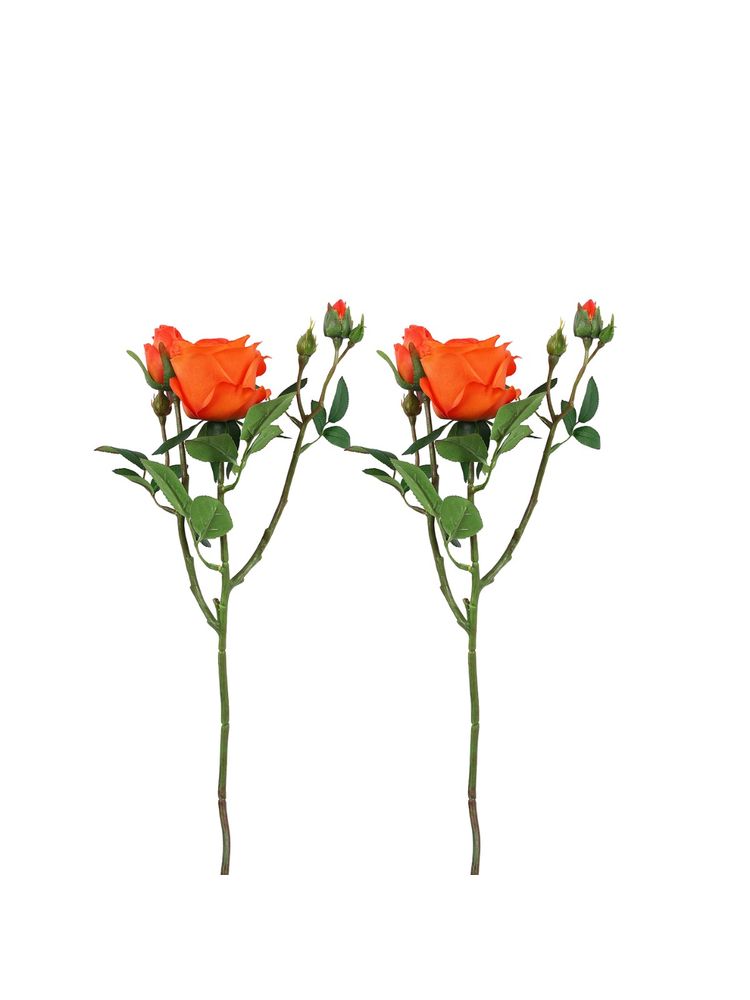 Tayhaa Orange and Green 2 Pieces Rose Artificial Flower-image-1