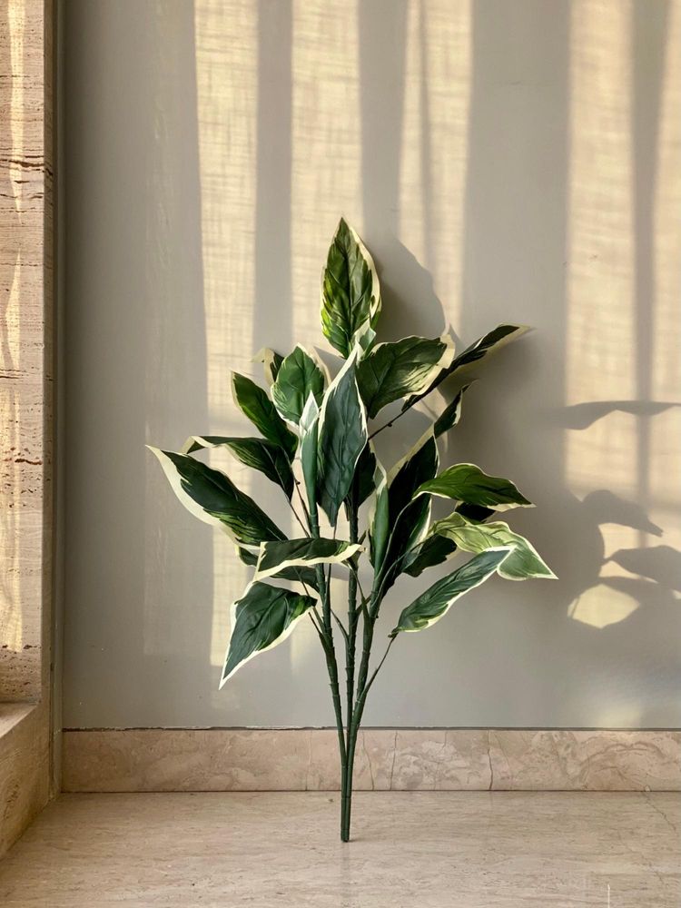 Mason Home Artificial Hosta Plant - 3.5 Feet (Without Pot)-image-40