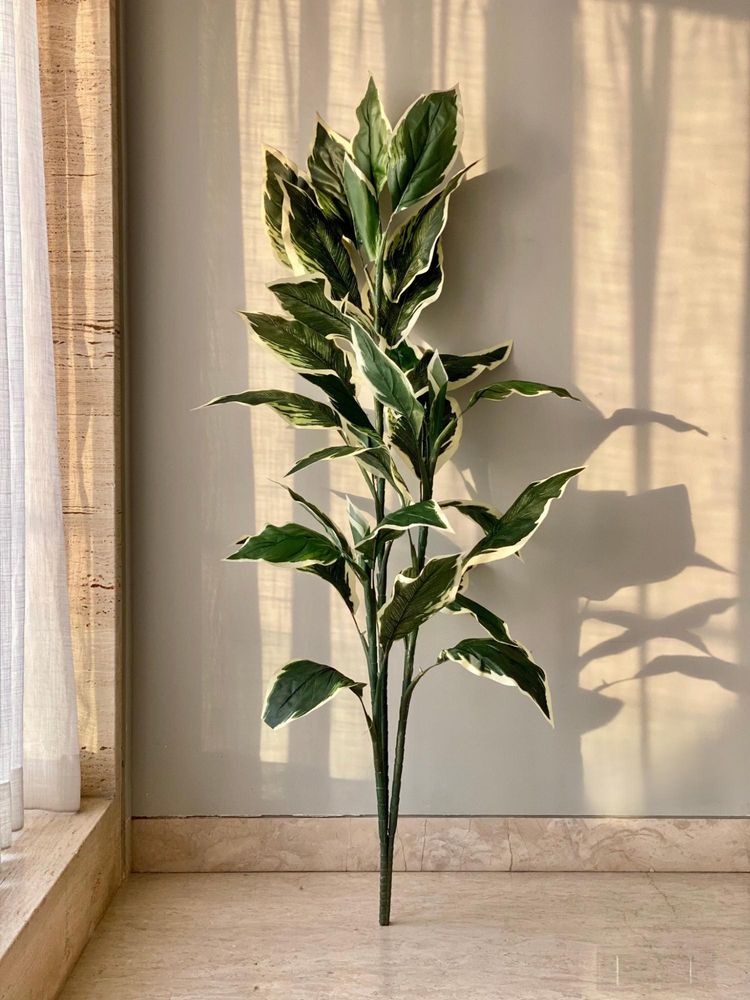 Mason Home Artificial Hosta Plant - 5 Feet (Without Pot)-picture-17